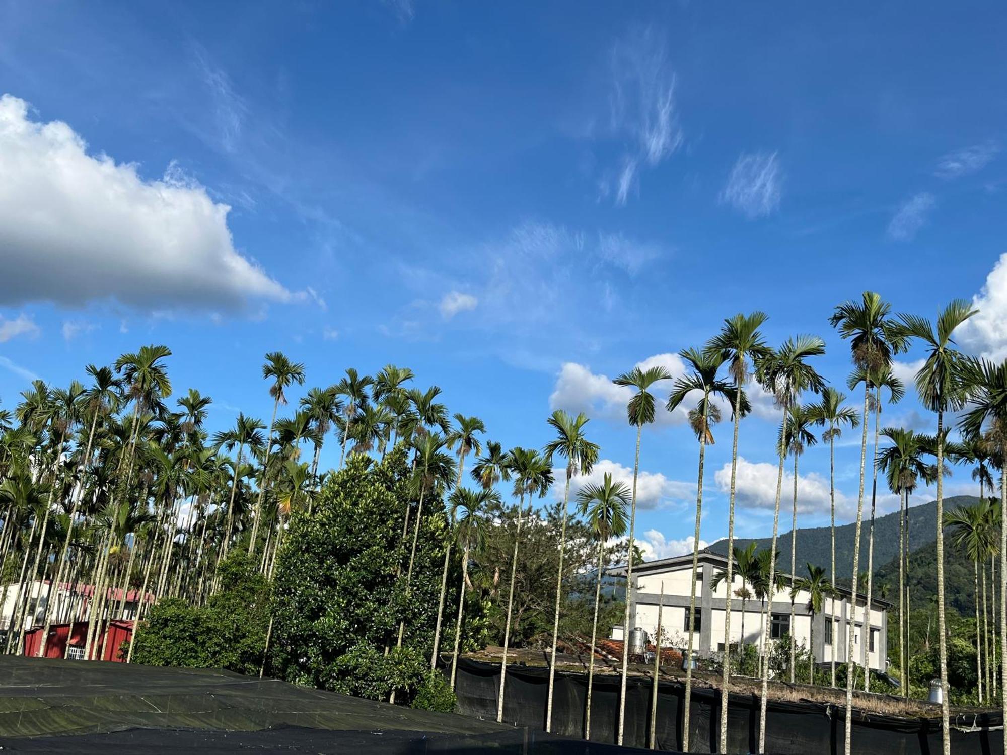 時間煮雨包棟民宿 Yuchi Exterior photo